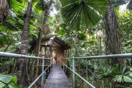 Daintree Wilderness Lodge