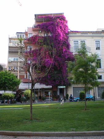 Ξενοδοχείο Metropolis Ξενοδοχείο Metropolis