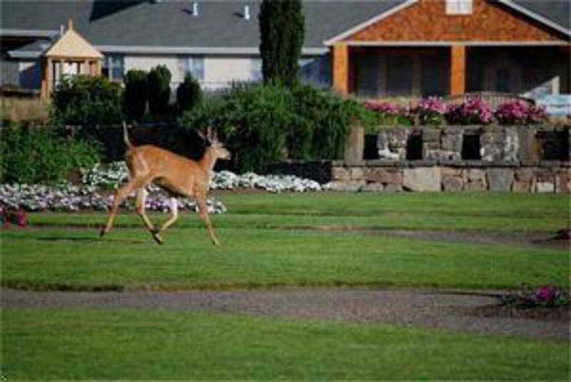 Oregon Garden Resort