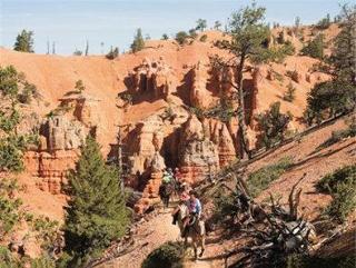 Best Western Plus Bryce Canyon Grand