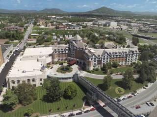 Roanoke&conference Centera Curio By Hilton